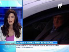 Primele imagini cu Gigi Becali în libertate