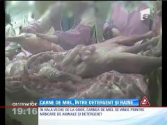 Observator de weekend