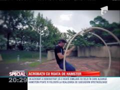 Special! Acrobații cu roata de hamster