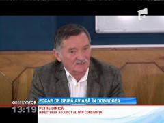 Focar de gripă aviară în Dobrogea