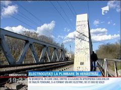 Electrocutați la plimbare în parcul Herăstrău