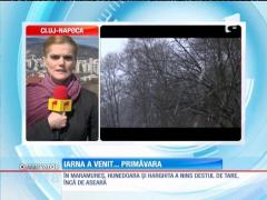 METEO! Iarna a venit primăvara