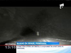 Blocaţi în zapadă, primăvara