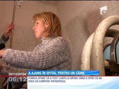 O femeie a fost bătută pentru că nu a vrut să cumpere un câine