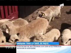 Orăşenii aleg să-şi petreacă Paştele la ţară