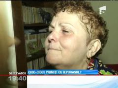 Cioc-cioc! Primiți cu iepurașul?