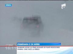 Primăvara e ca iarna