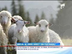 Mielul se vinde direct din portbagaj