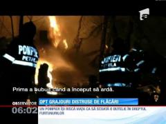 Opt grajduri distruse de flăcări