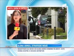 Elena Udrea, strategie nouă