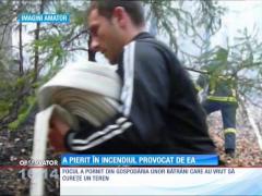 O bătrână din Buzău a pierit într-un incendiu de vegetație pe care îl provocase intenționat