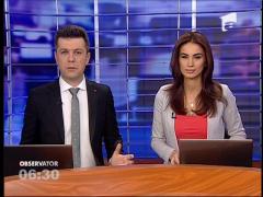 Bizoni evadați între mașini și locuințe