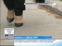 Marian Vanghelie, la Înalta Curte