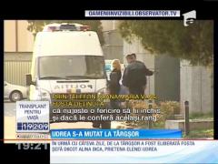 Update! Elena Udrea, în arest la Târgşor