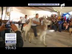 Cursă inedită cu măgari, în Mexic
