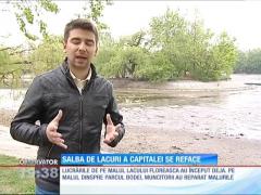 Observator de weekend