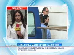 Elena Udrea, martor pentru Alina Bica