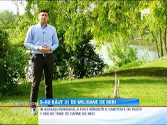 S-au băut 31 de milioane de beri