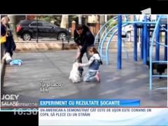 Experiment cu rezultate şocante, realizat în Statele Unite