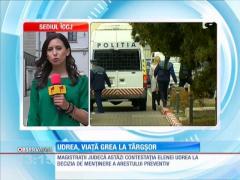 Elena Udrea, AFECTATĂ de ameninţări