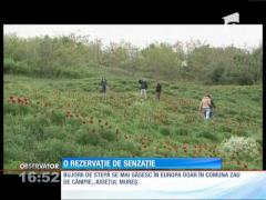 Rezervaţie de senzaţie, în România