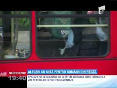 Alegeri cu miză pentru românii din Regat