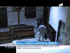 Percheziții DNA la CJ Suceava