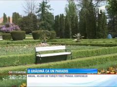 O grădină ca un paradis - Grădina botanică din localitatea Jibou