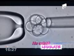 Mamele-surogat, la mare căutare în România!