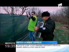Vedetele au fost poftite să mâne caprele la Urlaţi