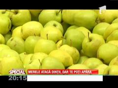 SPECIAL! Merele atacă dintîi, dar te poţi apară