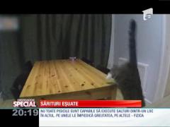 Special! Sărituri eșuate