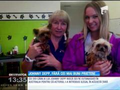 Johnny Depp, fără cei mai buni prieteni