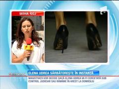 Elena Udrea sărbătoreşte în instanţă