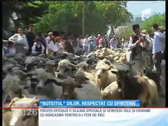 "Botezul" oilor, respectat cu sfinţenie