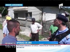 Dâmboviţa: Săteni speriați de urs
