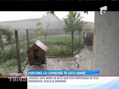 A plouat cu bucăţi de gheaţă cât oul de prepeliţă, la Satu Mare