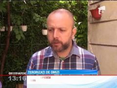 Omizile au invadat un cartier din Constanţa