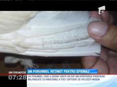 Poliţiştii indieni au reţinut un porumbel pentru spionaj