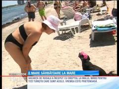 Un câine a susținut o sesiune de canto chiar pe plajă