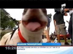 Un câine şi-a regăsit stăpânii dupa 7 ani de la dispariţie