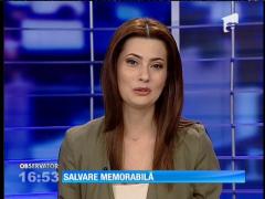 Un vultur dintr-o specie despre care se spunea că este dispărută la noi în ţară a fost găsit în Delta Dunării