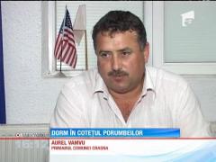 Două fetiţe de 4 şi 6 ani din judeţul Gorj locuiesc cu mama şi bunicul lor în coteţul porumbeilor