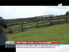 SPECIAL! Vacanţă printre mioare