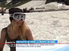 Distracție pe zăpadă, la început de vară