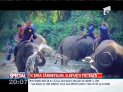 Special! În ţara zâmbetelor, elefanţii pictează