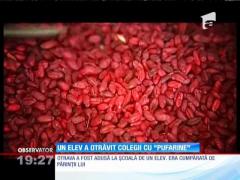 Un elev a otrăvit colegii cu "pufarine"