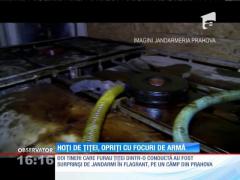 Hoţi de ţiţei, opriţi cu focuri de armă