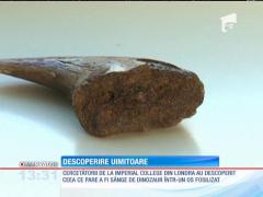 Descoperire uimitoare făcută de britanici
