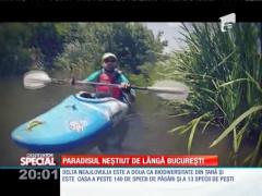 SPECIAL! Delta Neajlovului, paradisul neștiut de lângă București